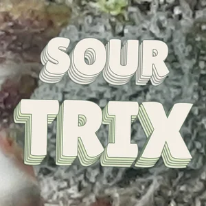 Sour Trix Cannabis Strain
