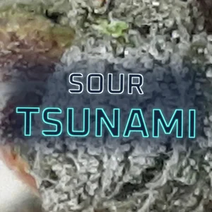 Sour Tsunami Cannabis Strain