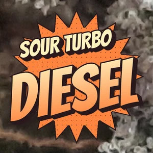 Sour Turbo Diesel Cannabis Strain