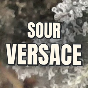 Sour Versace Cannabis Strain