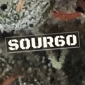 Sour60 Cannabis Strain