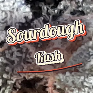 Sourdough Kush Cannabis Strain