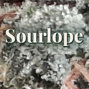 Sourlope Cannabis Strain