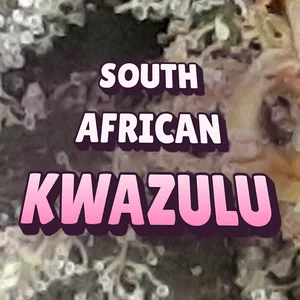 South African Kwazulu Cannabis Strain