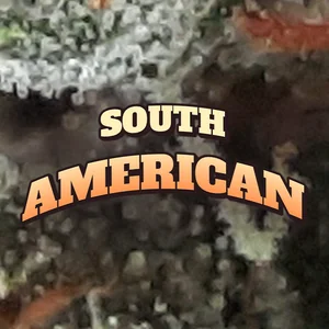 South American Cannabis Strain
