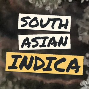 South Asian Indica Cannabis Strain