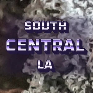 South Central LA Cannabis Strain