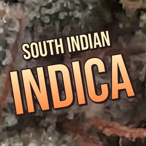 South Indian Indica Cannabis Strain