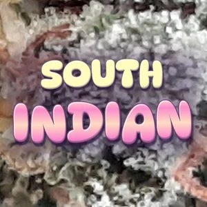 South Indian Cannabis Strain
