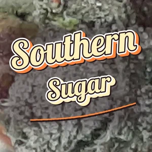 Southern Sugar Cannabis Strain