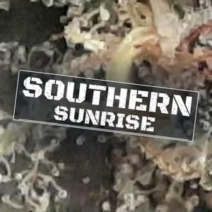 Southern Sunrise Cannabis Strain