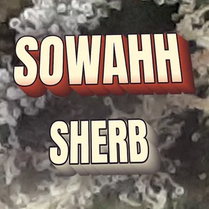 Sowahh Sherb Cannabis Strain