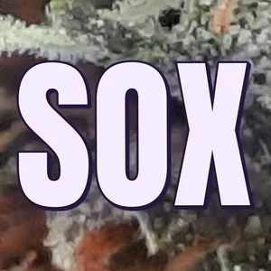 Sox Cannabis Strain