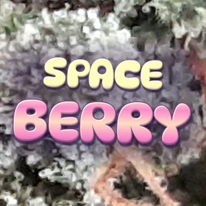 Space Berry Cannabis Strain