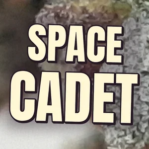 Space Cadet Cannabis Strain