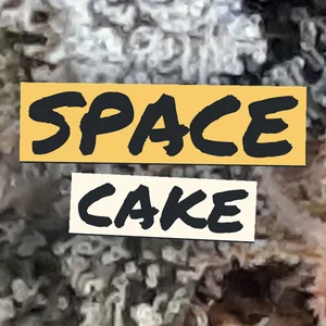 Space Cake Cannabis Strain
