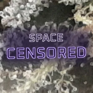 Space Censored Cannabis Strain