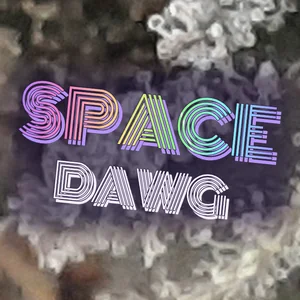 Space Dawg Cannabis Strain