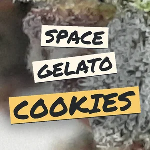 Space Gelato Cookies Cannabis Strain