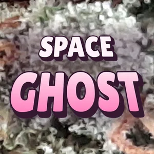 Space Ghost Cannabis Strain