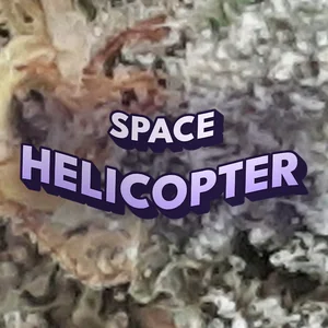 Space Helicopter Cannabis Strain