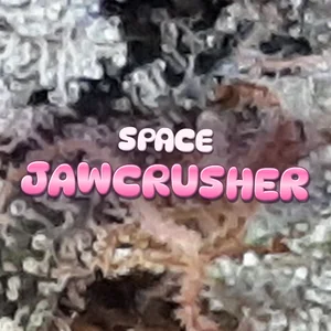 Space Jawcrusher Cannabis Strain