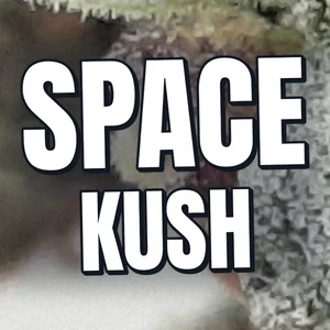 Space Kush Cannabis Strain