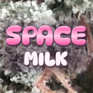 Space Milk Cannabis Strain