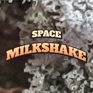 Space Milkshake Cannabis Strain