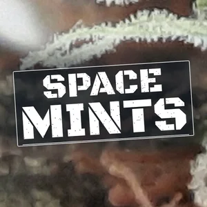 Space Mints Cannabis Strain