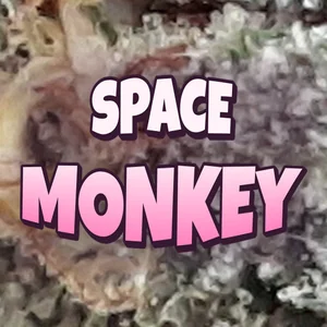 Space Monkey Cannabis Strain