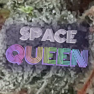 Space Queen Cannabis Strain