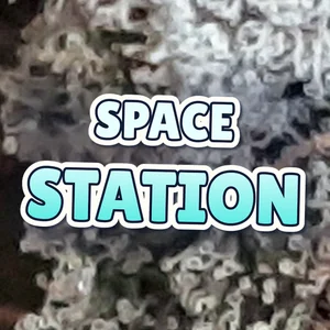 Space Station Cannabis Strain