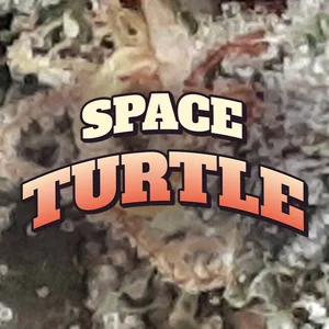 Space Turtle Cannabis Strain