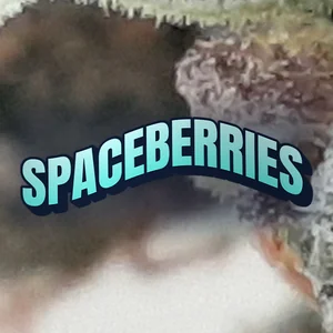 Spaceberries Cannabis Strain