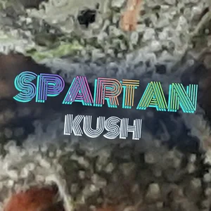 Spartan Kush Cannabis Strain