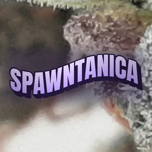 Spawntanica Cannabis Strain