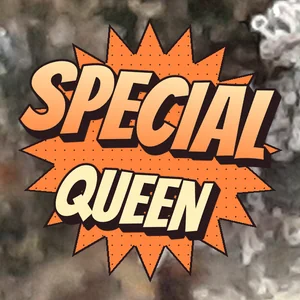 Special Queen Cannabis Strain