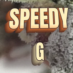 Speedy G Cannabis Strain