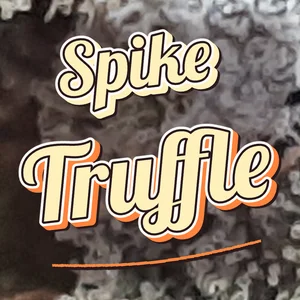 Spike Truffle Cannabis Strain