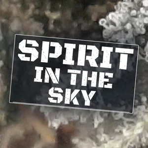 Spirit in the Sky Cannabis Strain