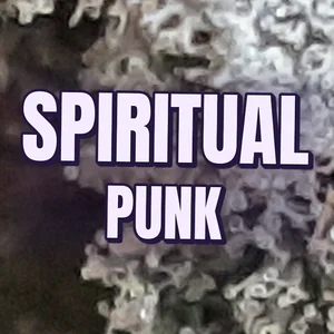 Spiritual Punk Cannabis Strain