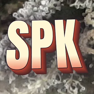 SPK Cannabis Strain