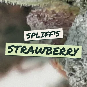 Spliff's Strawberry Cannabis Strain