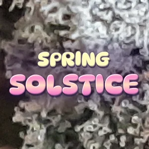 Spring Solstice Cannabis Strain