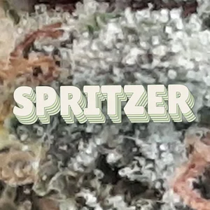 Spritzer Cannabis Strain