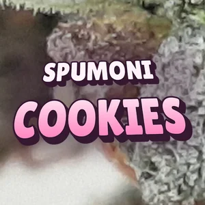 Spumoni Cookies Cannabis Strain