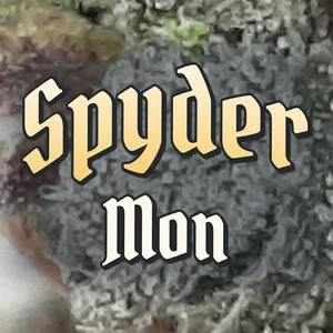 Spyder Mon Cannabis Strain