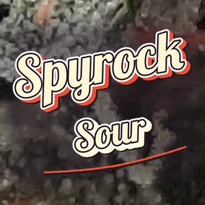 Spyrock Sour Cannabis Strain