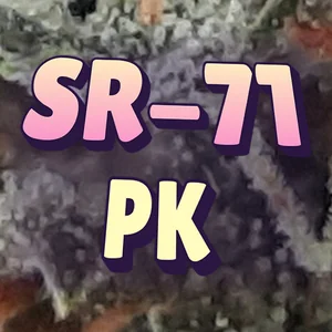 SR-71 PK Cannabis Strain